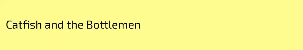 Catfish and the Bottlemen